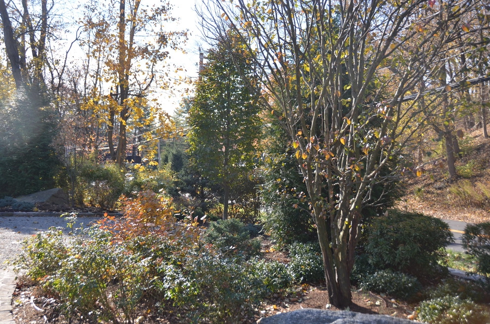 Hidden Garden by Young's Legacy Landscaping - Photo 18