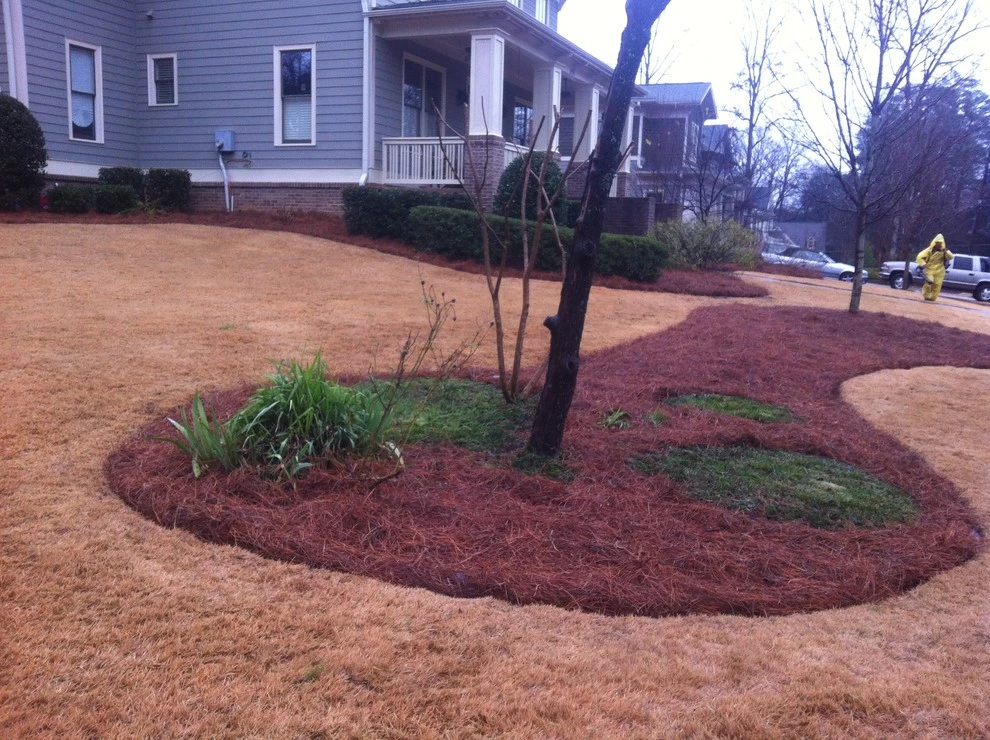 Portfolio by Four Seasons Atlanta Lawn Care, LLC - Photo 17