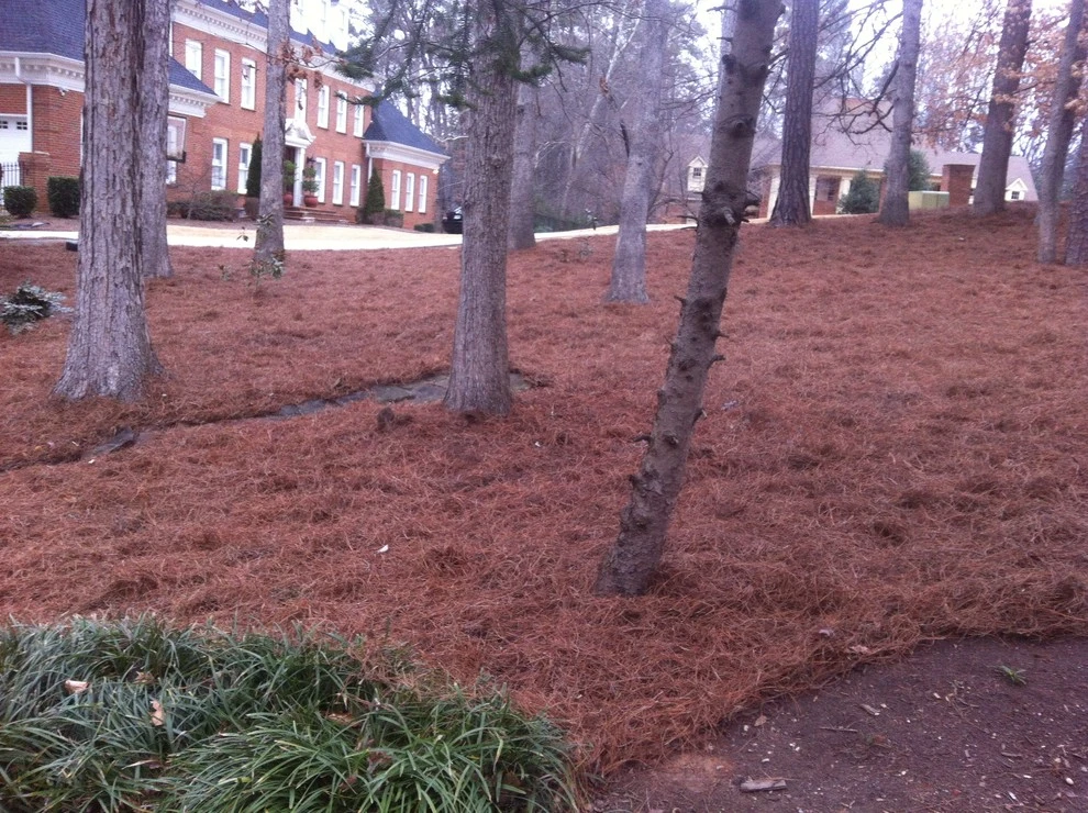 Portfolio by Four Seasons Atlanta Lawn Care, LLC - Photo 25