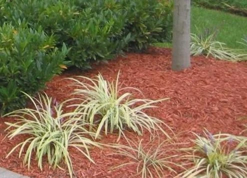 Portfolio by Four Seasons Atlanta Lawn Care, LLC - Photo 13