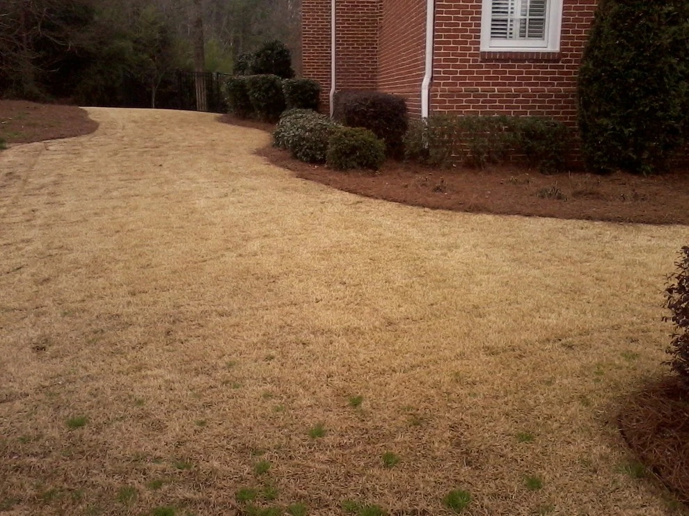 Portfolio by Four Seasons Atlanta Lawn Care, LLC - Photo 19