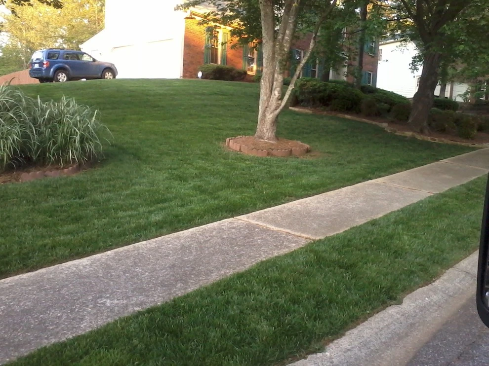 Portfolio by Four Seasons Atlanta Lawn Care, LLC - Photo 10