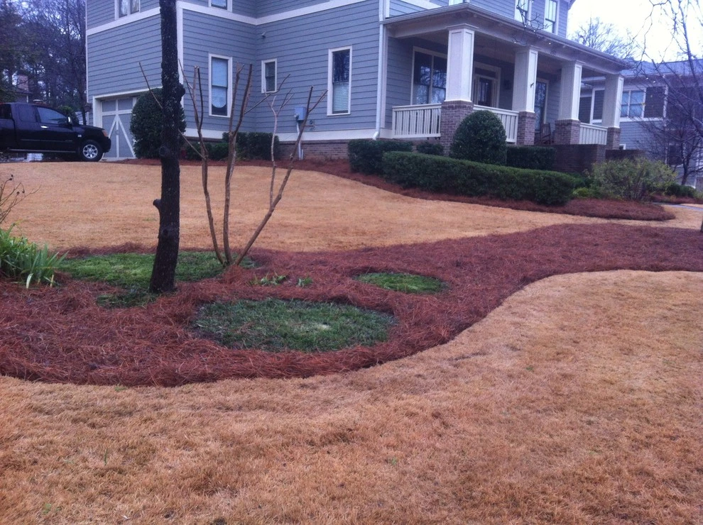 Portfolio by Four Seasons Atlanta Lawn Care, LLC - Photo 21