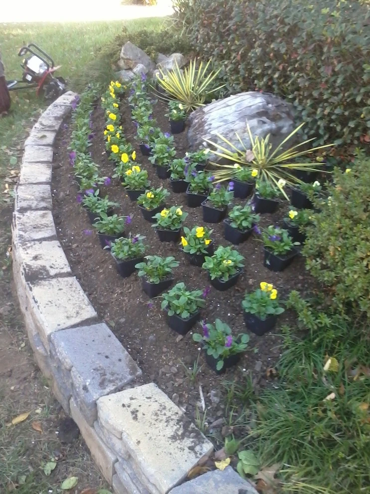 Four Seasons Atlanta Lawn Care, LLC - Photo 3