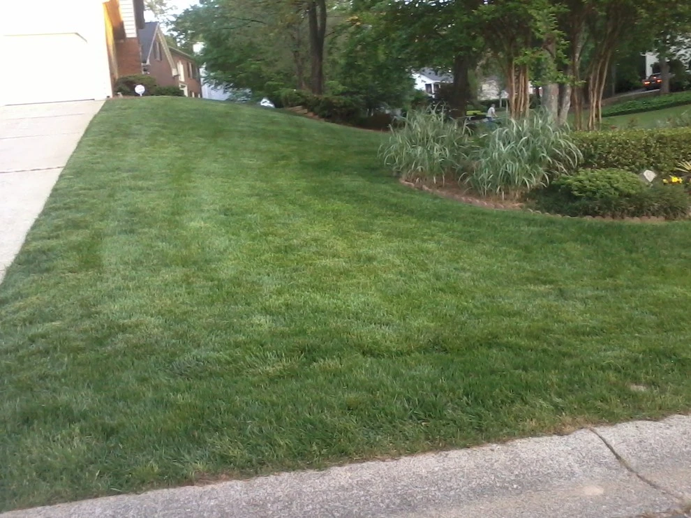 Four Seasons Atlanta Lawn Care, LLC - Photo 5