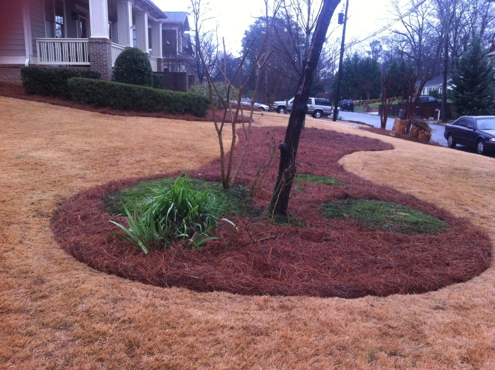 Four Seasons Atlanta Lawn Care, LLC - Photo 9