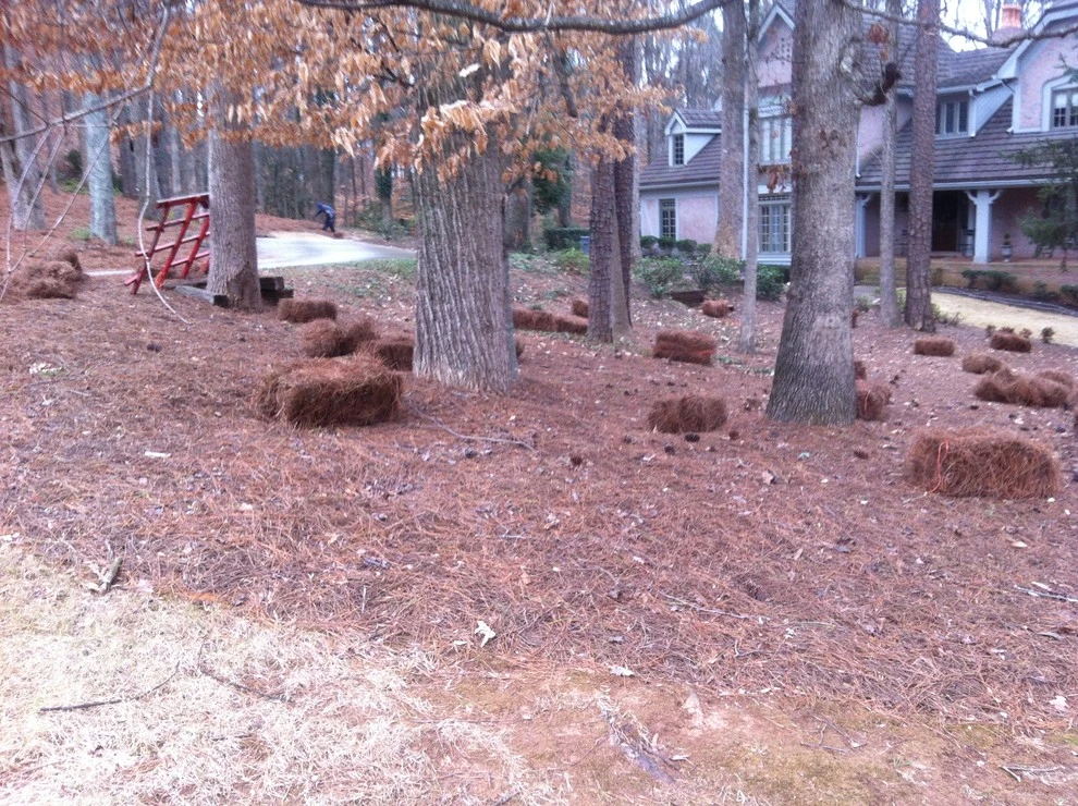 Four Seasons Atlanta Lawn Care, LLC - Photo 11