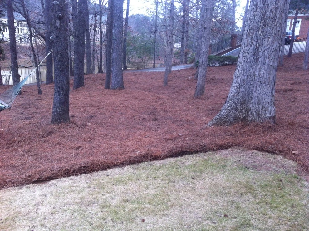 Portfolio by Four Seasons Atlanta Lawn Care, LLC - Photo 11