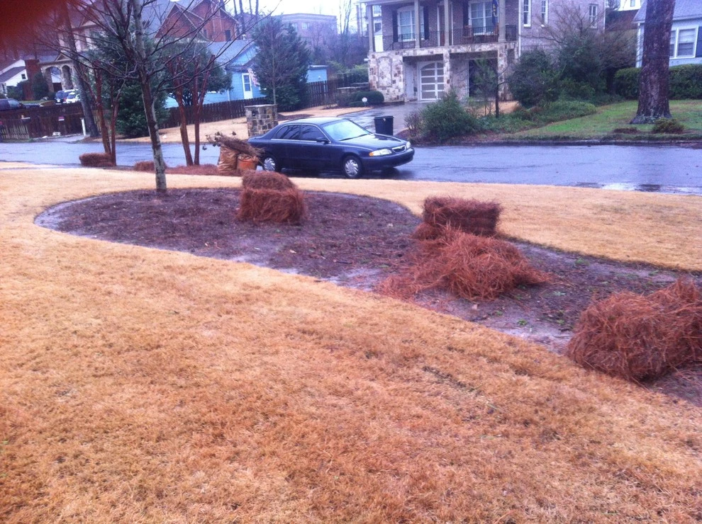 Portfolio by Four Seasons Atlanta Lawn Care, LLC - Photo 26