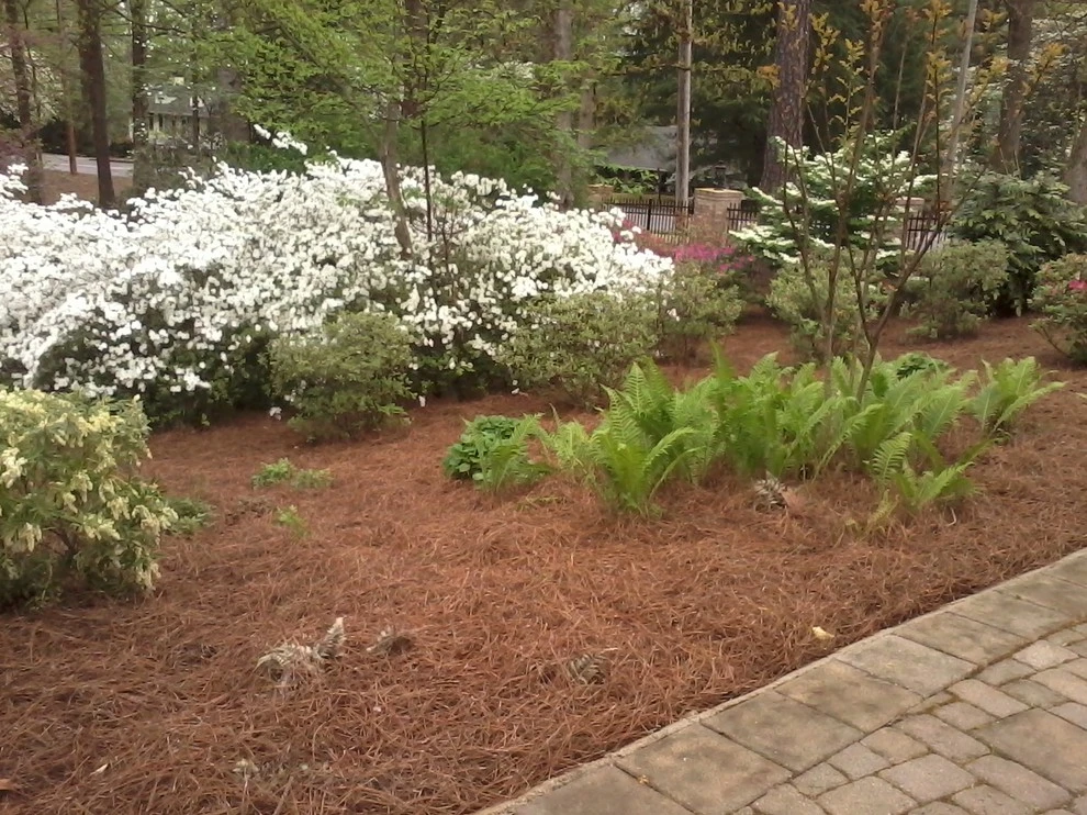 Portfolio by Four Seasons Atlanta Lawn Care, LLC - Photo 15