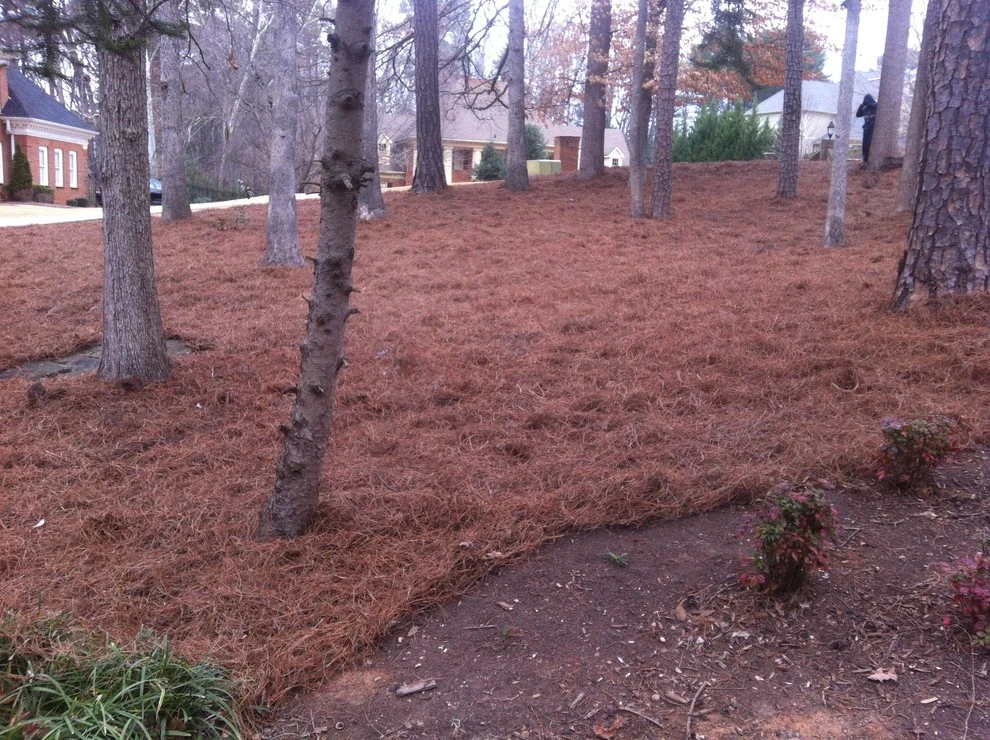 Portfolio by Four Seasons Atlanta Lawn Care, LLC - Photo 23