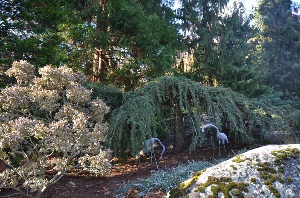 Young's Legacy Landscaping - Photo 8