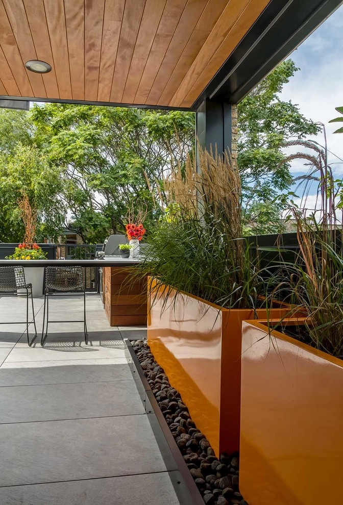 Urban Lanai by Chicago Specialty Gardens, Inc. - Photo 3