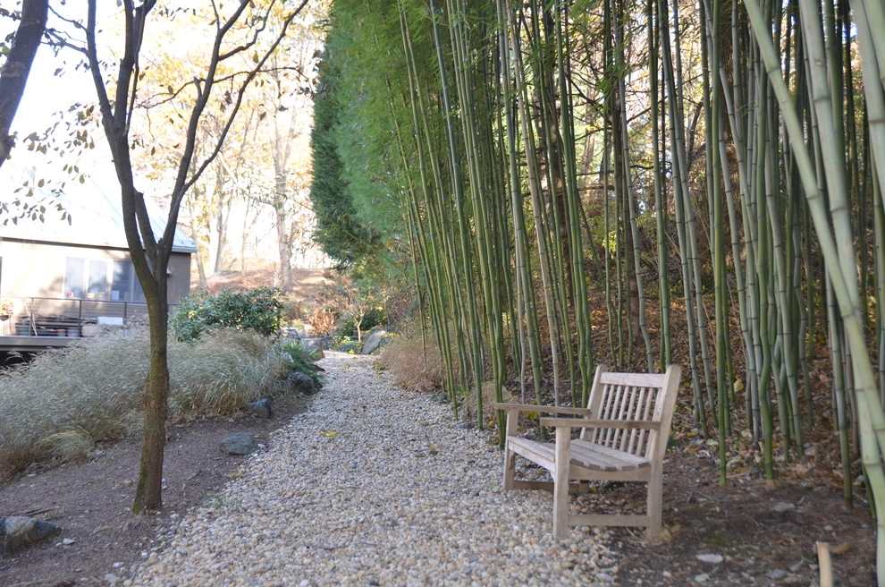 Hidden Garden by Young's Legacy Landscaping - Photo 9