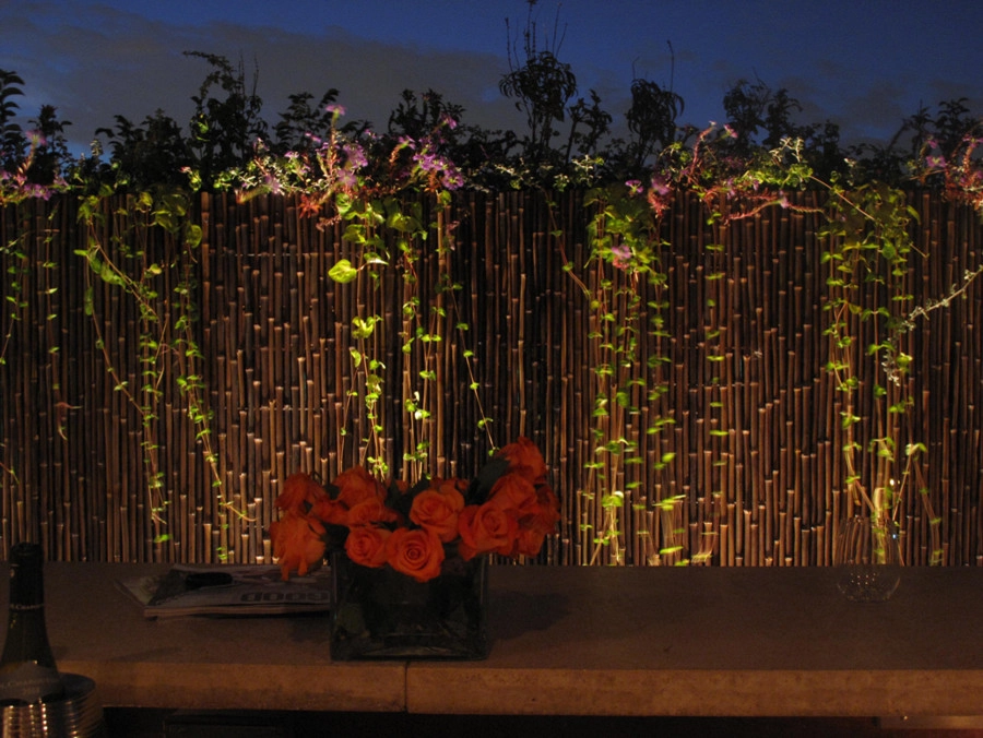 The Four Elements by Chicago Specialty Gardens, Inc. - Photo 4