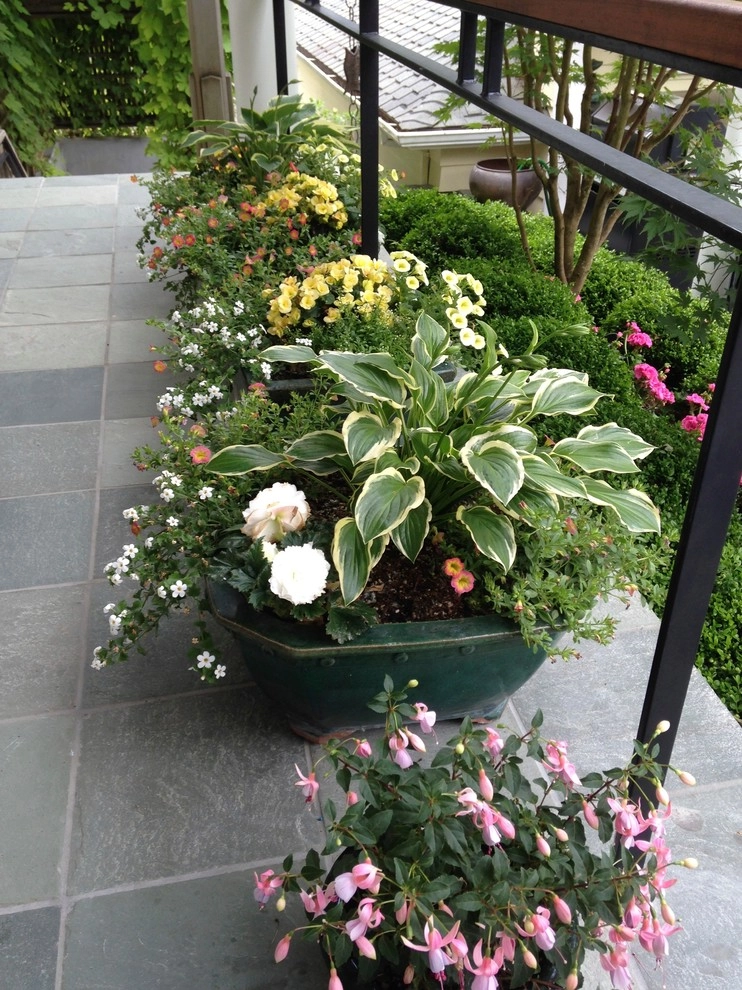 Container Gardening by Chinick Landscaping & Nursery - Photo 6