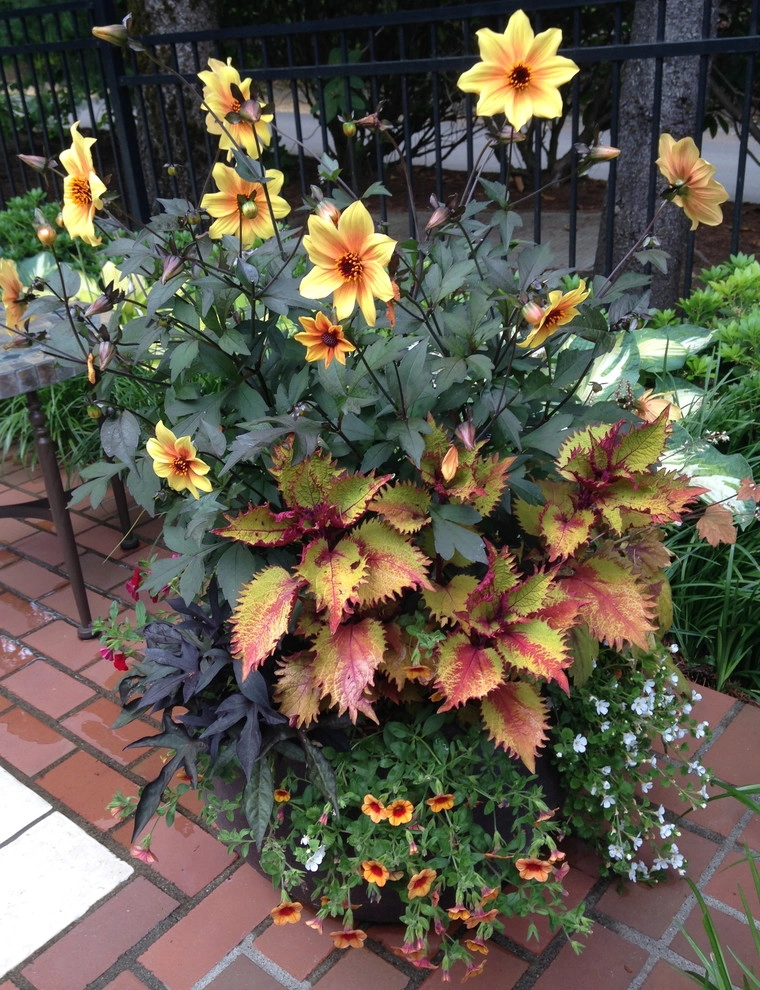 Container Gardening by Chinick Landscaping & Nursery - Photo 23