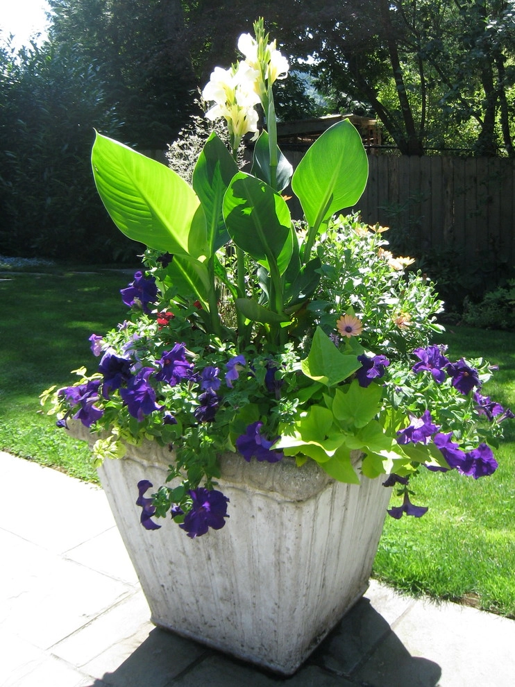 Chinick Landscaping & Nursery - Photo 14