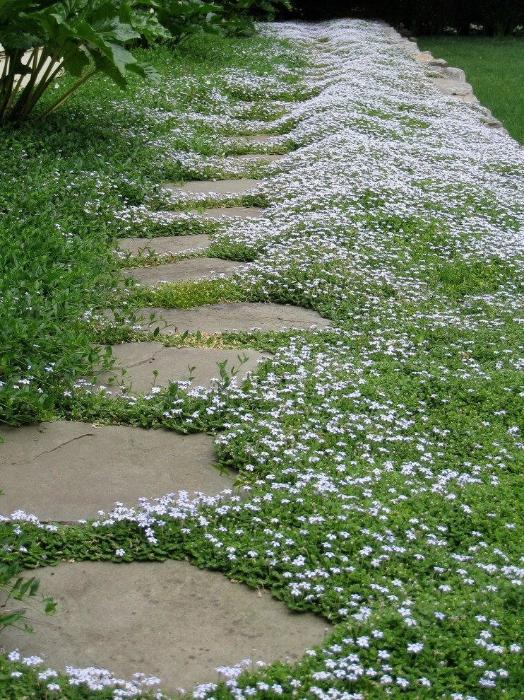 Garden Color & Form by Chinick Landscaping & Nursery - Photo 9