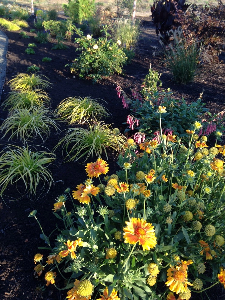 Rural Contemporary by Chinick Landscaping & Nursery - Photo 3