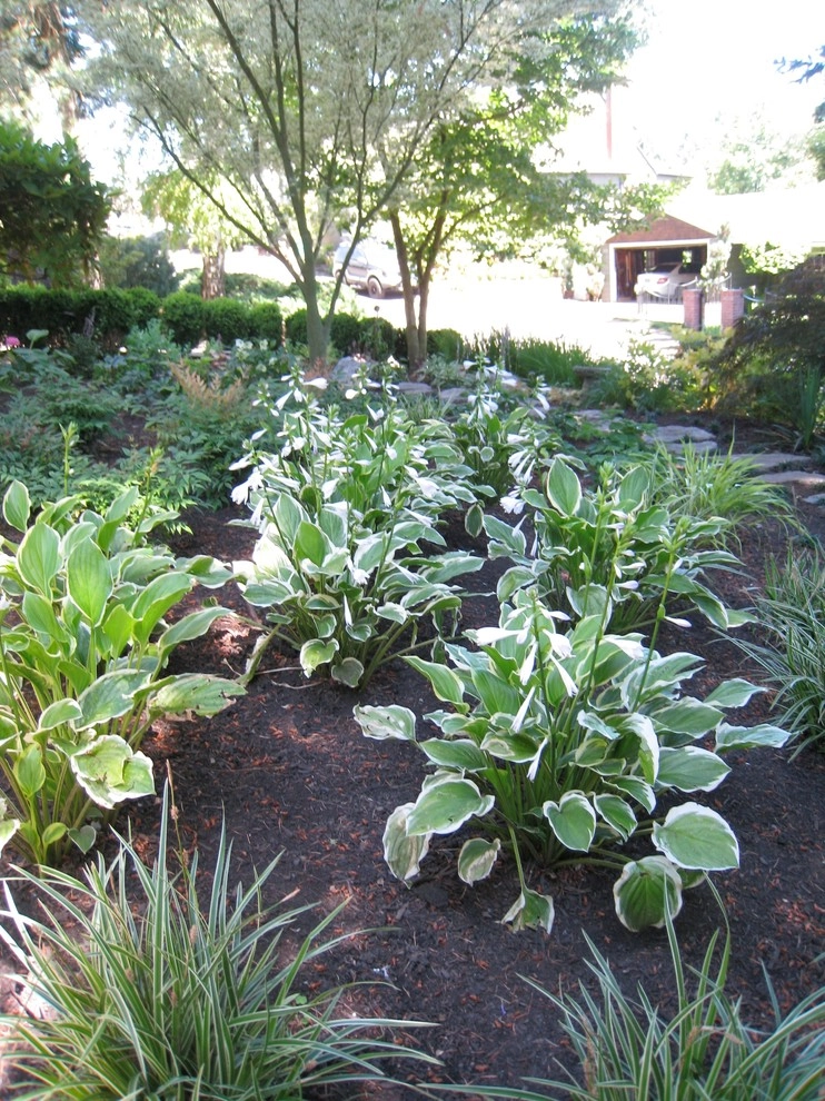 Chinick Landscaping & Nursery - Photo 6
