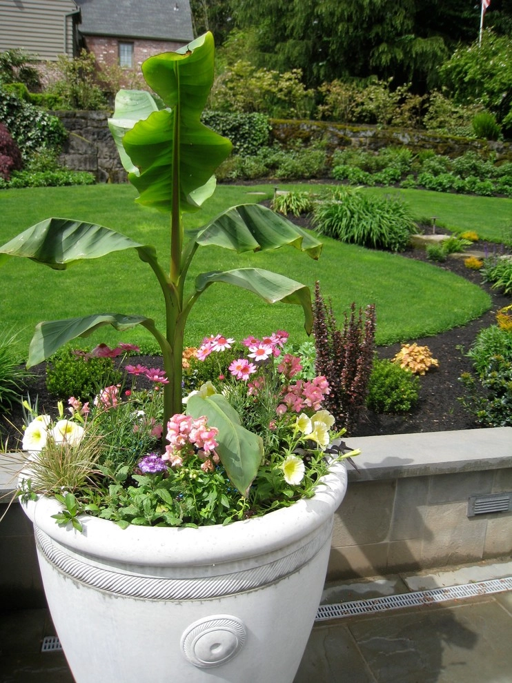Container Gardening by Chinick Landscaping & Nursery - Photo 18