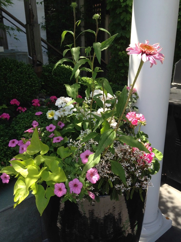 Garden Color & Form by Chinick Landscaping & Nursery - Photo 2