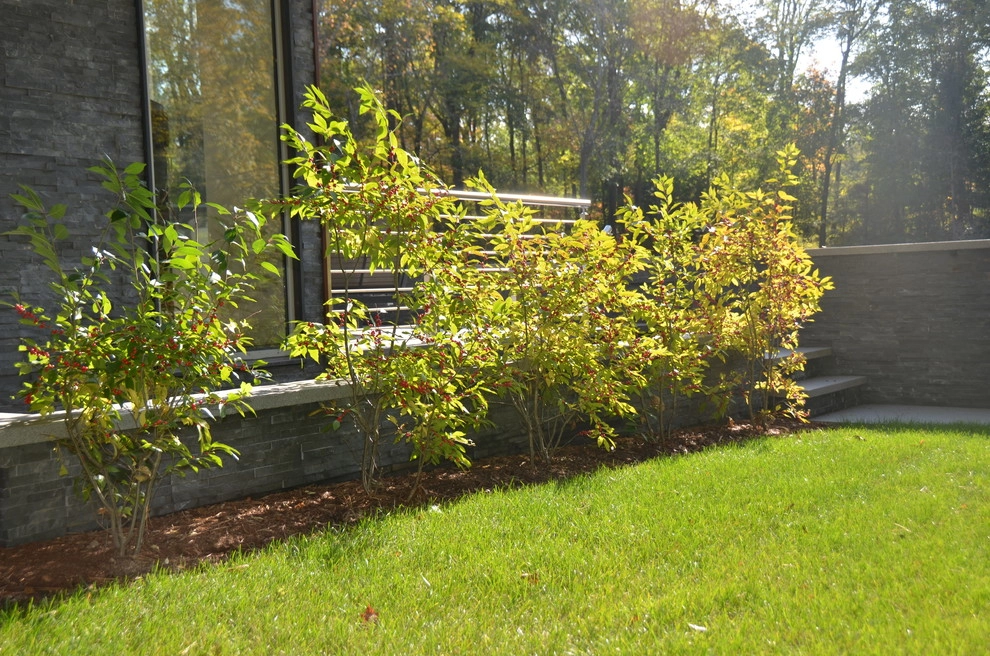 Contemporary Landscaping by Young's Legacy Landscaping - Photo 3