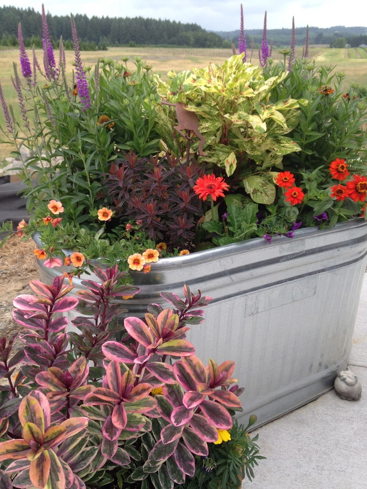 Rural Contemporary by Chinick Landscaping & Nursery - Photo 5