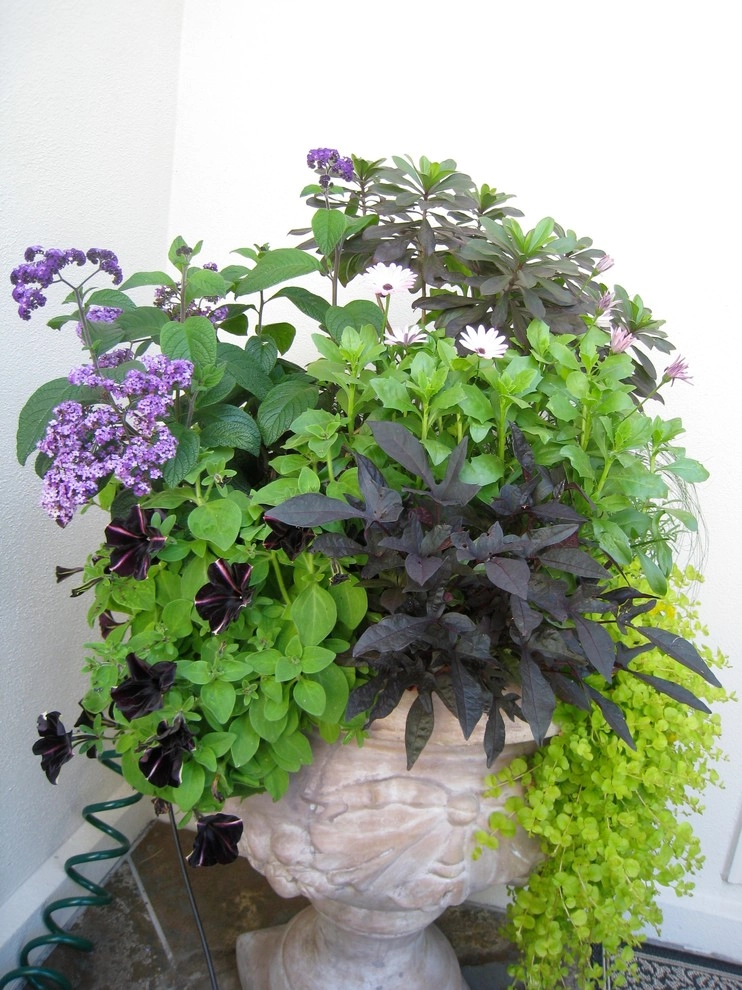 Chinick Landscaping & Nursery - Photo 5