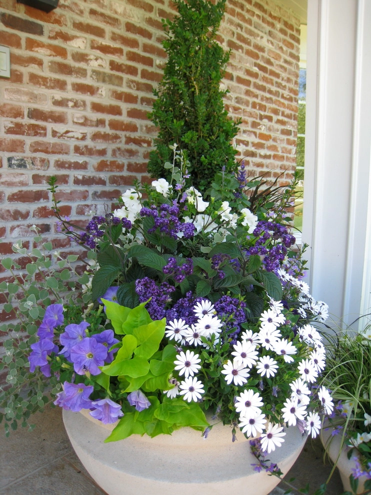 Container Gardening by Chinick Landscaping & Nursery - Photo 7