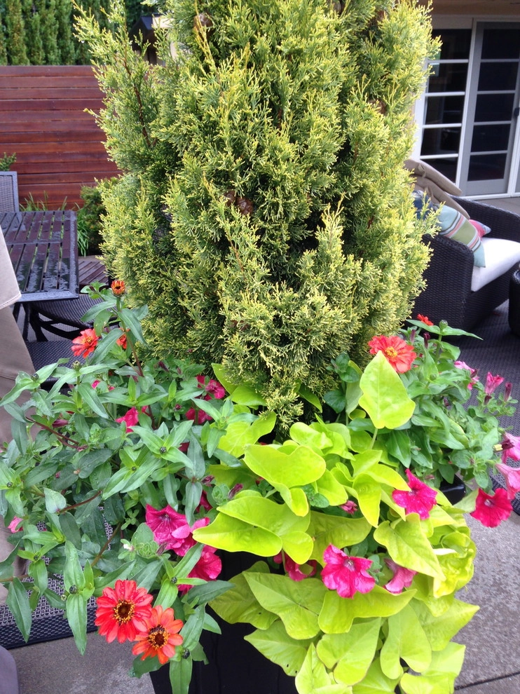Chinick Landscaping & Nursery - Photo 11