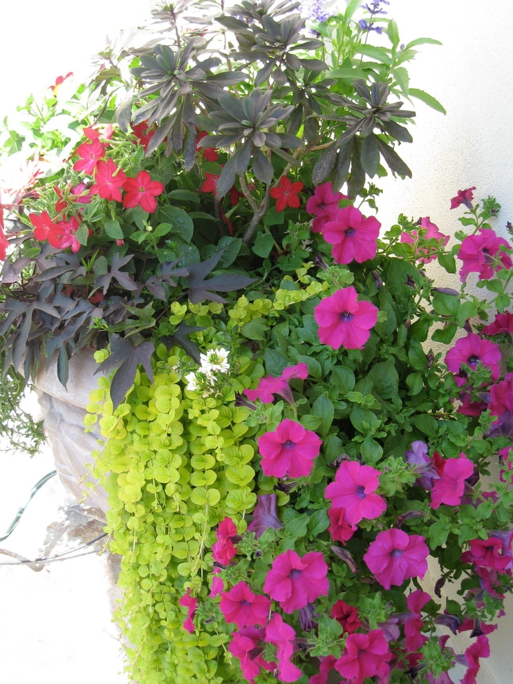 Container Gardening by Chinick Landscaping & Nursery - Photo 14