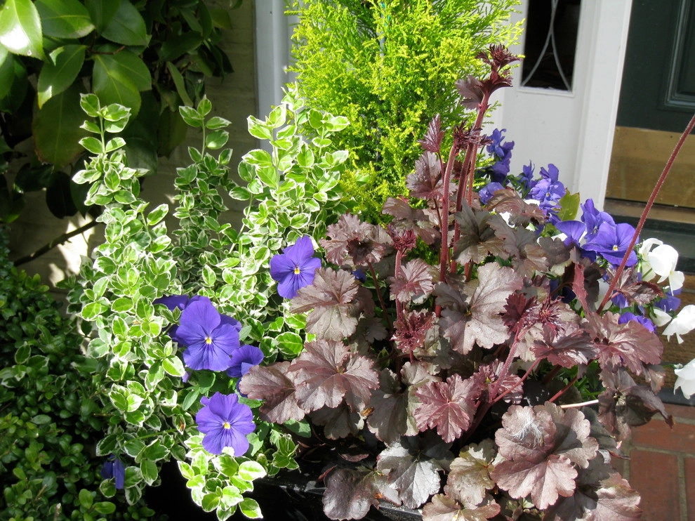 Container Gardening by Chinick Landscaping & Nursery - Photo 22
