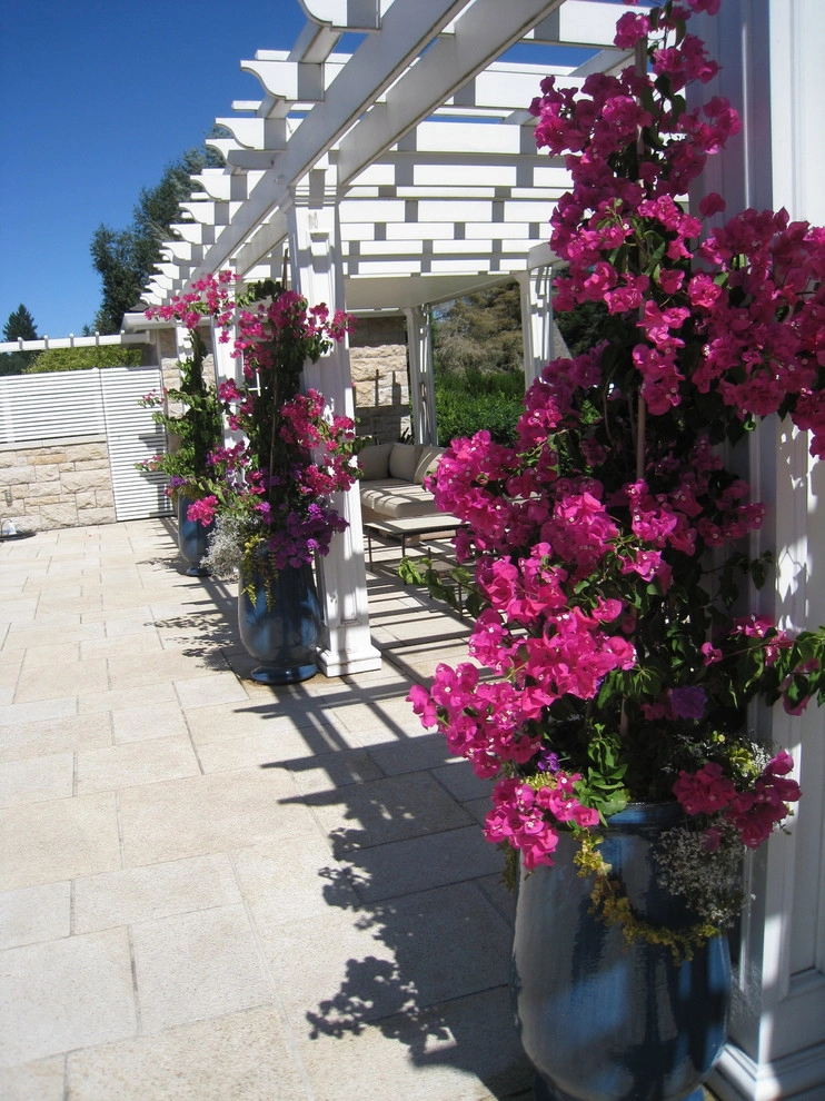 Container Gardening by Chinick Landscaping & Nursery - Photo 19