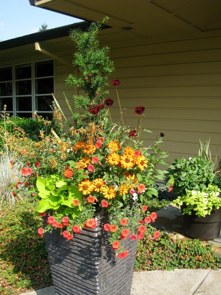 Container Gardening by Chinick Landscaping & Nursery - Photo 11