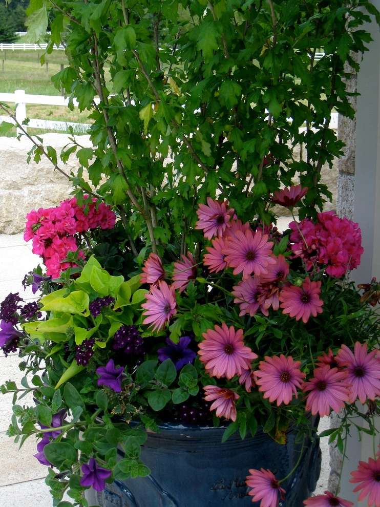 Container Gardening by Chinick Landscaping & Nursery - Photo 17