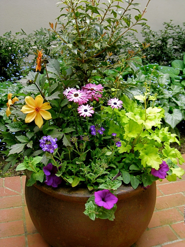 Container Gardening by Chinick Landscaping & Nursery - Photo 10