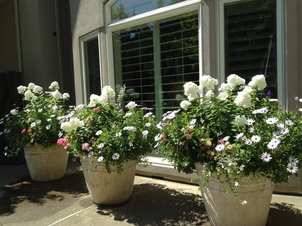 Container Gardening by Chinick Landscaping & Nursery - Photo 15