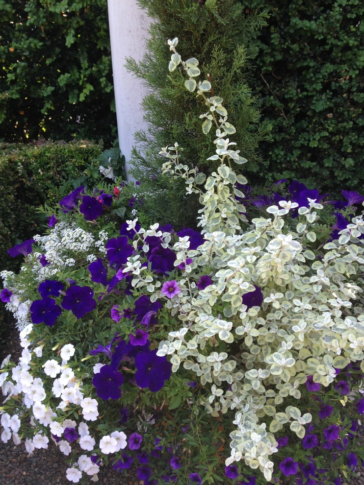 Garden Color & Form by Chinick Landscaping & Nursery - Photo 10