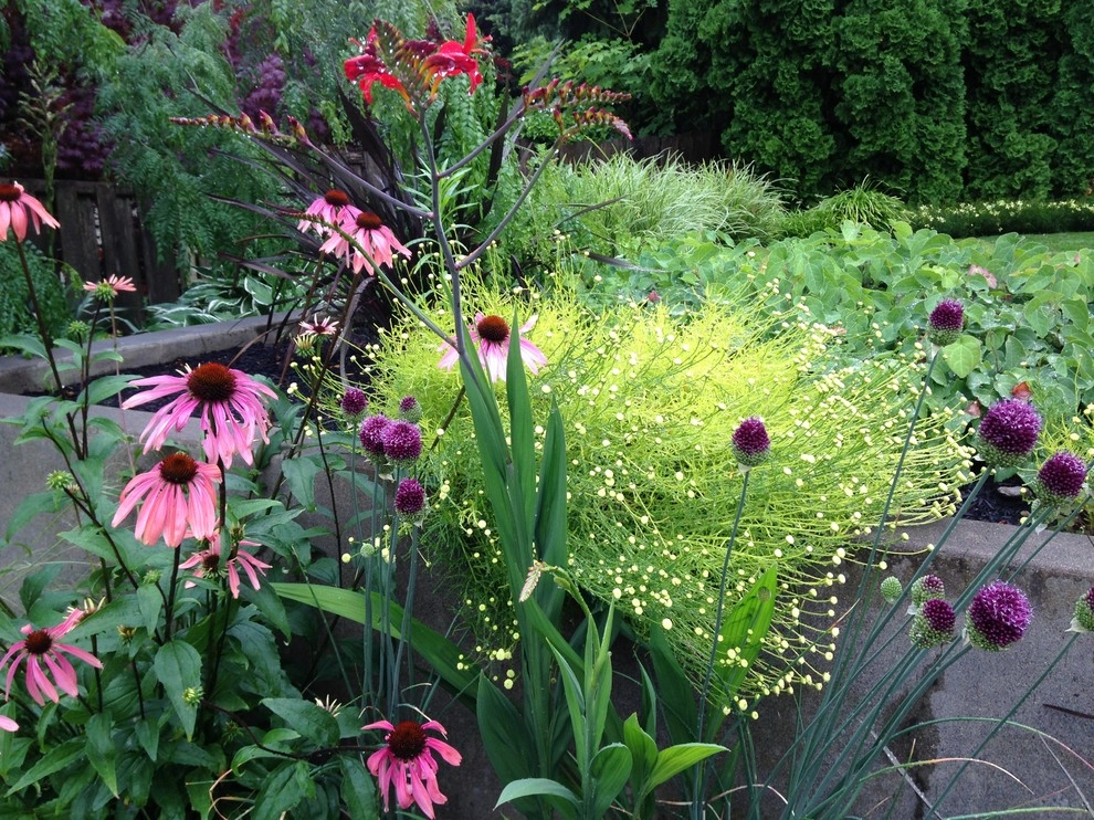Garden Color & Form by Chinick Landscaping & Nursery - Photo 15