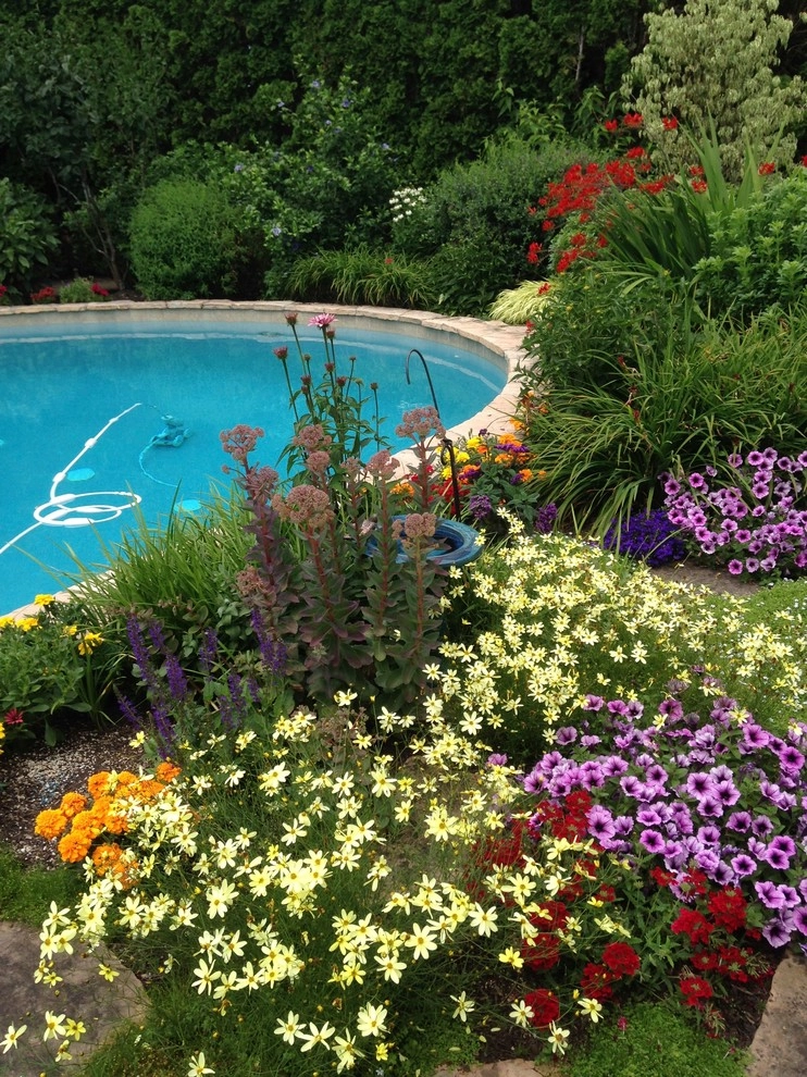 Garden Color & Form by Chinick Landscaping & Nursery - Photo 4