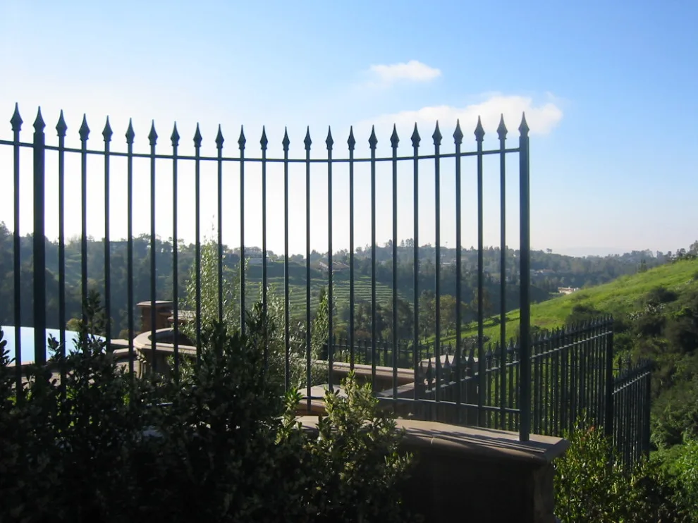 Outdoor Fencing by Naddour's Custom Metalworks/Baltic Iron Doors - Photo 6