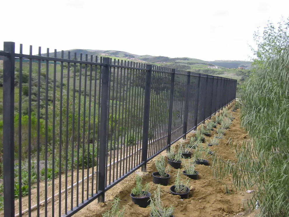 Outdoor Fencing by Naddour's Custom Metalworks/Baltic Iron Doors - Photo 4