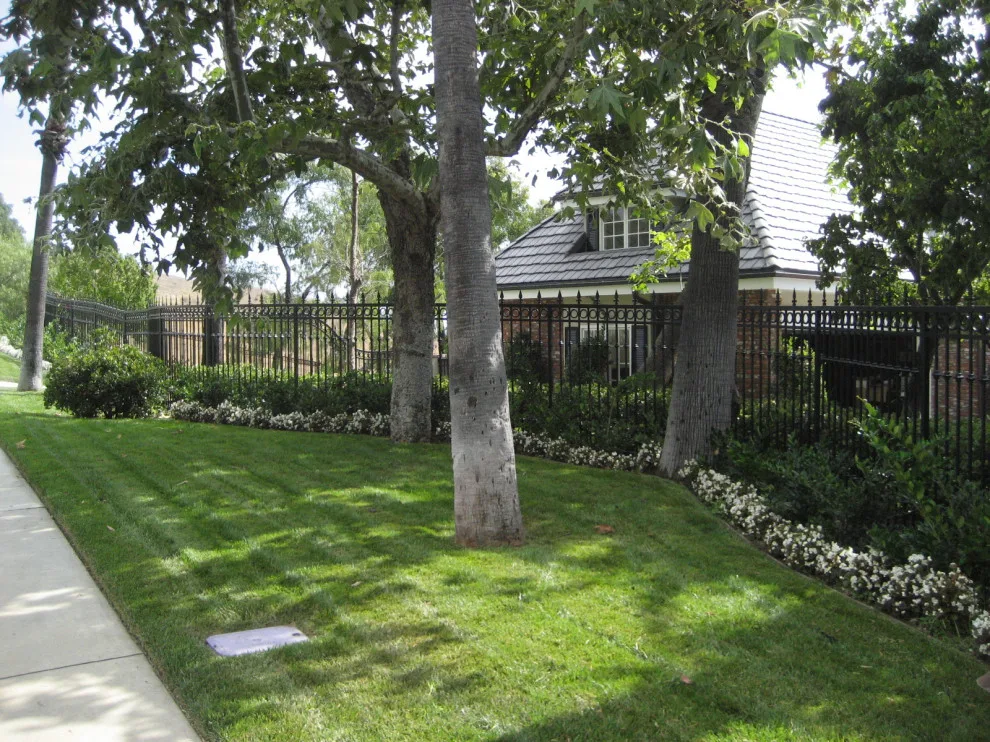 Outdoor Fencing by Naddour's Custom Metalworks/Baltic Iron Doors - Photo 13