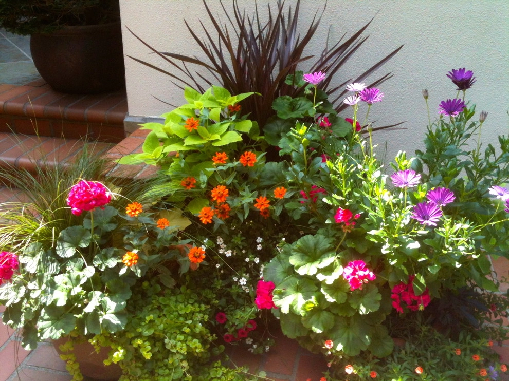 West Hills Annual Color by Chinick Landscaping & Nursery - Photo 4