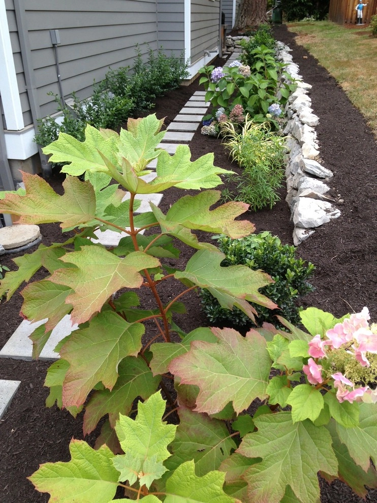 Lake Oswego Craftsman by Chinick Landscaping & Nursery - Photo 3