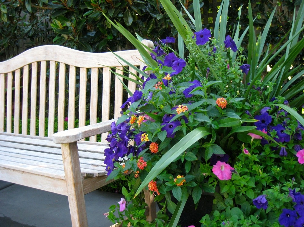 Container Gardening by Chinick Landscaping & Nursery - Photo 16