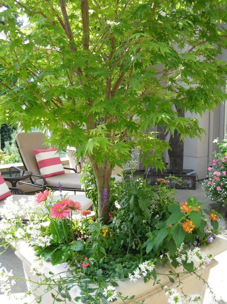 Container Gardening by Chinick Landscaping & Nursery - Photo 21
