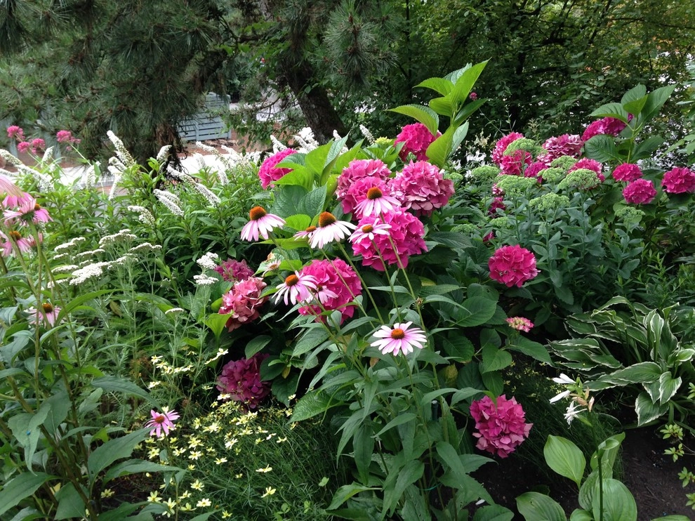 Garden Color & Form by Chinick Landscaping & Nursery - Photo 13